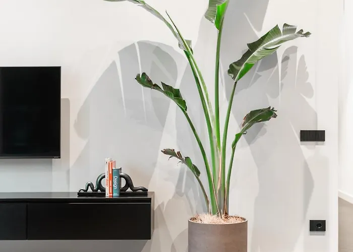 Apartamento Minimal Pv *