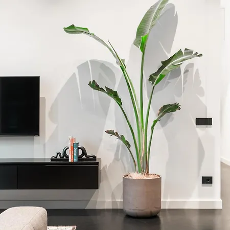 Apartamento Minimal Pv *